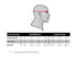 Diagram illustrating head circumference measurement above the ear, featuring a size chart for the Condor Flex Tactical Cap - MultiCam Black in S/M and L/XL, ideal for First Responders or Law Enforcement, with sizes in centimeters and inches.