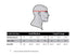 Diagram of a head with a red line indicating where to measure for hat size, plus a size chart in cm and inches for Condor Flex Tactical Mesh Cap - MultiCam by Condor, showing sizes S/M and L/XL.